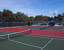 tennis, tree, sky, sport, outdoor, court, athletic game, racket, tennis racket